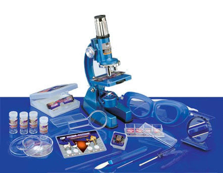 8d26eb77-cf36-11ef-9d2e-000c29e1040d